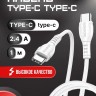 Usb Кабель-зарядка Type-C на Type-C Borofone BX51 Trumph 3A 60W 1м силиконовый белый